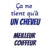 Tee shirt humour coiffeur