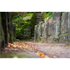 Steinbrücke im Herbst