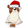 Santa Dog