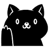 Adorable black cat