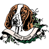 Basset Hound Anno 1900