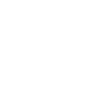 Dolphin Bottlenose Dolphin Ocean Gift