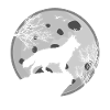 White Shepherd Moon Shepherd Dogs