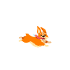 Corgi