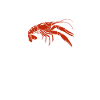 Crayfish