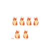 Corgi