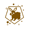 Rabbit - Rabbit - Nature