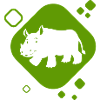 Rhino - Africa - Nature - Animal Lover