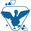 Swan - Bird - Nature Conservation