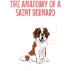 Definition Djur Husdjur Anatomi Av Saint Bernard Hund