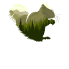 Eichhörnchen Wald