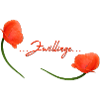 Zwillinge Mohn Klatschmohn Sternzeichen Zwillinge