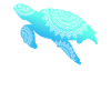Turtle Boho