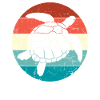 Tortue rétro