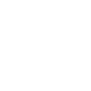 Bat and moon Halloween
