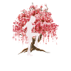 Japanese Cherry Blossom Rope Jumping