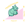 Math teacher mathematician Hippotenuse