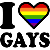 I love gays