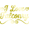 I love falconry