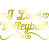 I love volleyball