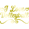 I love volleyball