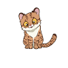 Kawaii Margay