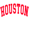 houston longhorn