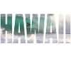 hawaii surfing