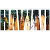 hawaii honolulu
