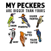 Funny Woodpeckers Bird Collection Birdwatchers