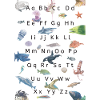 Marine Fauna and Literature