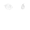 Cat face