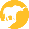 Silhouette Cliff Moon Elephant