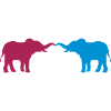 2 elephants in love couple