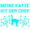 Katze