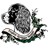 Springer Spaniel Anno 1900