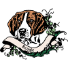 Beagle Anno 1900