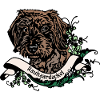 Rough-haired dachshund Anno 1900