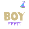 young boy birthday