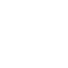 Dream Team