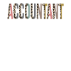 Accountant