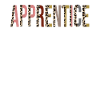 Apprentice