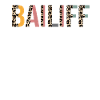 Bailiff