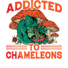 Accro aux caméléons