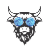 Kuhkopf mit Brille