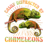 Easily distracted by Chameleons