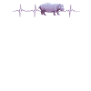 Hippo Heartbeat