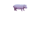 Dear Hippos