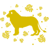 Lion - Zoo Animal