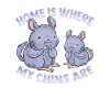Chinchilla